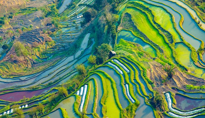 宝妈必备神器：尚志市产品视频拍摄轻松育儿好帮手